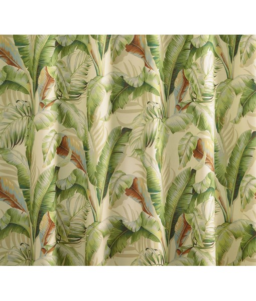 Tommy Bahama Palmiers Cotton Shower Curtain  72